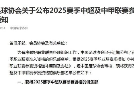九游体育官网入口-足协公布2025赛季职业联赛准入名单 梅州递补中超